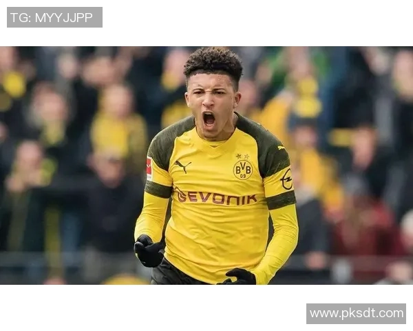 足球历史上足球明星数量最多的年份回顾与分析