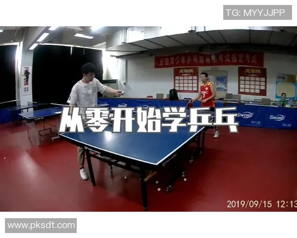 从零开始：乒乓球团队协作完全攻略