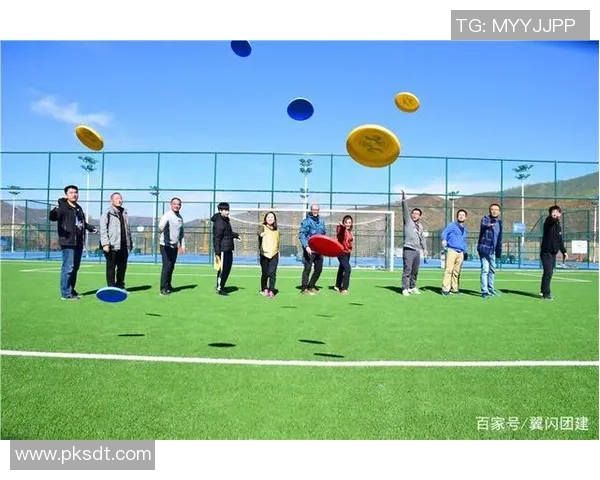 周娜独家：分享飞盘心得